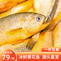 鸿顺【冰鲜】黄花鱼5条300-350g 生鲜鱼类 宁德大黄鱼 源头直发  *