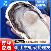 鲜海道【活鲜】鲜海道生蚝  乳山牡蛎 新鲜海蛎子生鲜贝类 送人稀有6XL号9斤送两袋蒜蓉酱