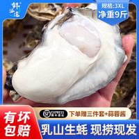 鲜海道【活鲜】鲜海道生蚝  乳山牡蛎 新鲜海蛎子生鲜贝类 精品3XL号9斤送两袋蒜蓉酱