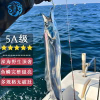 七冰东 带鱼 新鲜特级大带鱼整条 海钓宽带鱼段整箱 海鲜水产 生鲜 鱼类 6斤装(1.4-2斤/条)