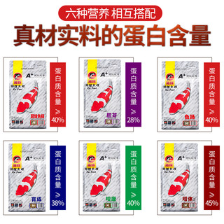 海豚 PORPOISE银袋锦鲤饲料赛级金鱼饲料鱼粮增体增色 锦鲤鱼食不浑水育成色杨 育成10kg 中粒