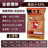 海豚 PORPOISE锦鲤饲料成鱼大颗粒 增色增体上浮不浑水 鱼粮锦鲤鱼食锦鲤鱼饲料 业者增体 20kg/大粒