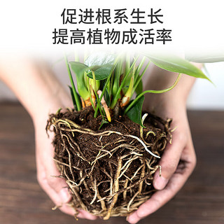 漫生活30L营养土通用花土植物种菜养花土壤多肉种植土发财树绿萝兰花土