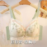 润微茶肌抑菌内衣女花朵刺绣大胸显小调整型聚拢收副乳无钢圈文胸