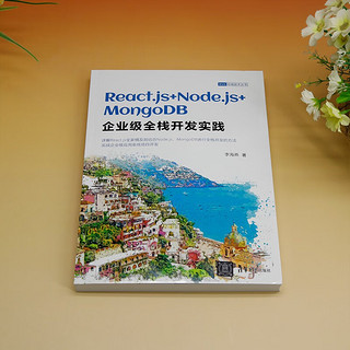 React.js+Node.js+MongoDB企业级全栈开发实践（Web前端技术丛书）