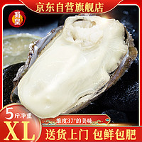 蜀皇乳山生蚝鲜活特大牡蛎海蛎子带壳生蚝肉贝类海鲜5斤XL(27-32)只 XL号【小号款】