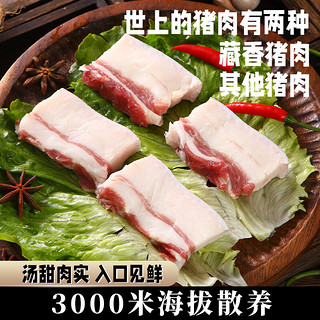 卡拉达 藏区藏香猪上五花肉500g 烤肉红烧肉 跑山猪黑猪肉土猪肉 地标