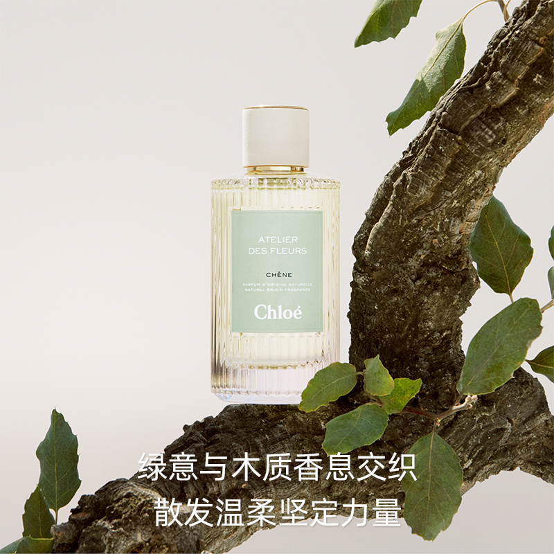 【新香】Chloe蔻依仙境花园系列香氛香水 漫境橡野 50ml