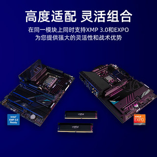 Crucial 英睿达 Pro DDR5 6000MHz 台式机内存 马甲条 黑色 32GB 16GBx2 C36