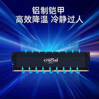 Crucial 英睿达 Pro DDR5 6000MHz 台式机内存 马甲条 黑色 32GB 16GBx2 C36