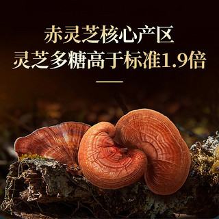 固本堂 破壁灵芝孢子粉2g/袋*15袋*4盒（共60袋）增强免疫力保健品中老年人营养品增强免疫力 【60天量】周期增强免疫