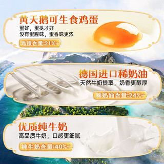 大师小点 0添加葡式蛋挞 蛋挞液500g(250gx两盒） 烘焙原料 原味