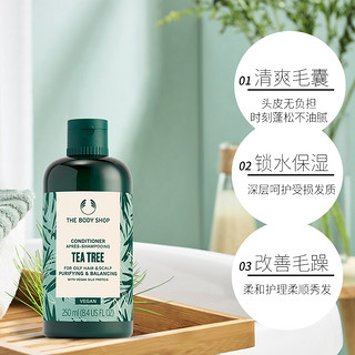 THE BODY SHOP TheBodyShop美体小铺茶树护发素250ml控油生姜护理英国