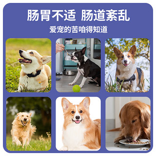 YITO 犬用益生菌片150片 狗狗益生菌 调理肠胃 幼犬用泰迪金毛通用肠胃宝 益生菌片150片/瓶