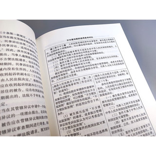 民事诉讼法修改条文理解与适用（新民事诉讼法)