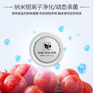 澳柯玛（AUCMA）冷柜小型家用零下40℃超低温冰柜深冷速冻1级节能冷藏冷冻转换柜钢化玻璃面板251升BC/BD-251GEX 玻璃面板-40℃超低温1级节能 251L