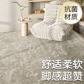 大江 DAJIANG 地毯客厅地毯轻奢感沙发地毯大面积全屋定制卧室地毯床边毯 瑞格林-香草白DT22-FF-01 200x140cm