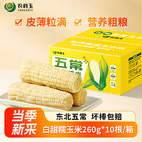 NONGKEYU 农科玉 新日期！东北五常甜糯玉米260g*10根