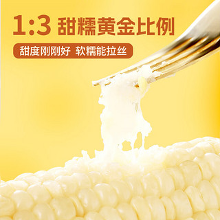 NONGKEYU 农科玉 新日期！东北五常甜糯玉米260g*10根