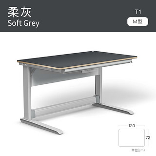 摩尔（moll）T1电脑桌学习桌 极简设计 德国 1.2米 1.5米 柔灰 120cm