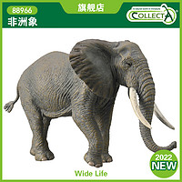 COLLECTA 英国CollectA我你他仿真野生动物模型玩具88966非洲象大象2022款