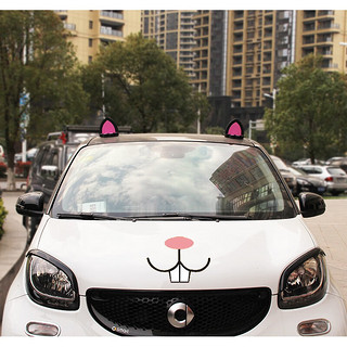 欧拉R1车顶装饰猫耳朵熊耳朵汽车改装个性卡通装饰贴车顶创意车贴 黑色大灯睫毛