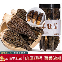 junyi 菌益 羊肚菌干货60g 云南特产头茬精选羊肚菇6-9cm肉厚剪柄 煲汤食材