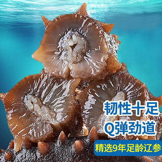 鲜拔头筹 即食海参 即食大连刺参单个装500g 深海辽刺参年货海参礼盒干货 9年7A海参 【20-30头/斤】4斤装