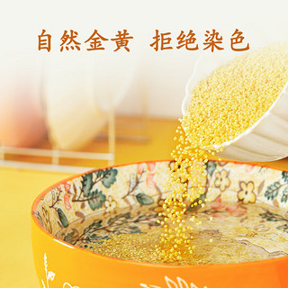十月稻田 黄小米2.5kg 小米5斤 粗粮杂粮煮粥蒸饭