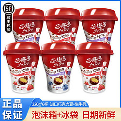 yili 伊利 JoyDay酸奶巧克力豆220g*6杯草莓蓝莓风味发酵乳