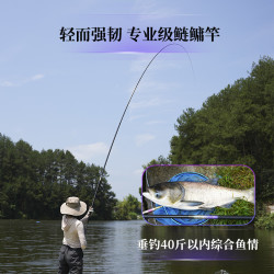 E-LONG 怡隆 香港怡隆梨花枪钓鱼杆专业轻量鲢鳙杆超轻超硬大物杆