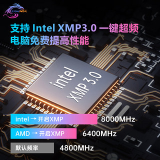 新乐士（SAMNIX）台式机内存条 48GB(24GBx2)DDR5 7200Mhz C36 黑灰 RGB灯条 海力士M-die 幻影王者电竞游戏