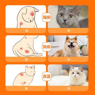 poainta 普安特 猫藓药猫癣狗藓狗癣真菌感染宠物狗狗皮肤病专用药皮普特喷剂喷雾猫咪黑下巴螨虫瘙痒湿疹外用药