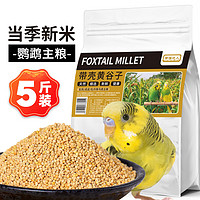 捕渔达人【新粮】带壳黄谷子2.5kg 带壳小米黄谷子鸟食饲料鸟粮食物
