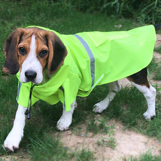 尛宝宠物狗狗雨衣防水服中型大型犬金毛萨摩柴犬雨天衣服两脚防水雨披 黄色雨衣 L【体重6斤-10斤】