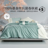 水星家纺A类抗菌100%桑蚕丝被长丝棉刺绣春秋被芯保暖四季被褥单双人被子 清平韵抗菌桑蚕丝春秋被(青色) 220cm×240cm