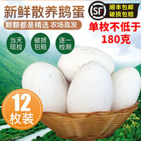 百世富泽（BAISHIFUZE）【百世富泽】黄河滩鹅蛋新鲜正宗土鹅蛋农家自养新鲜鹅蛋 6枚115-130克