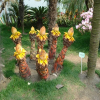 花姬 地涌金莲 千叶佛莲千瓣莲 地金莲 地母金莲 地涌莲花苗盆栽莲花苗 根茎3公分粗 不含盆