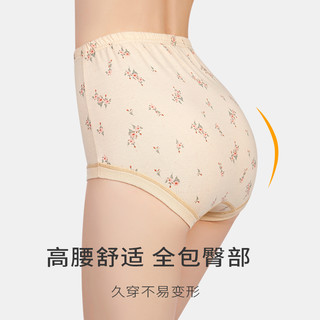春织中老年人内裤女抗菌纯棉老人三角裤妈妈高腰大码全棉女士短裤奶奶