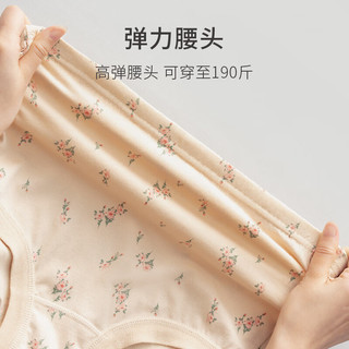 春织中老年人内裤女抗菌纯棉老人三角裤妈妈高腰大码全棉女士短裤奶奶