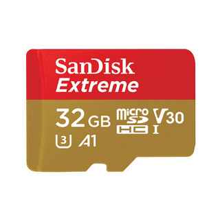 闪迪（SanDisk）micro SD 支持4K高速拍摄 TF手机存储卡 运动相机，迷你相机卡 100MB 32G