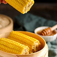 喜代美 维理 糯玉米520g（共2支）玉米代餐早餐  火锅烧烤食材