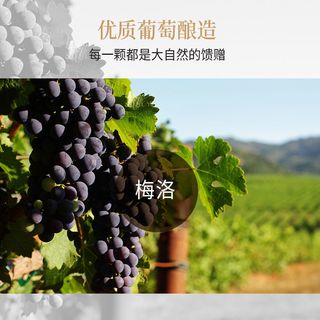杰卡斯 经典系列梅洛干红葡萄酒750ml阿根廷原瓶