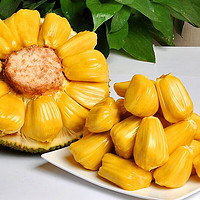 晓筱农场 海南菠萝蜜新鲜一整个10-15斤 三亚红黄心波罗蜜当季水果整箱生鲜