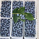 柚萝 特大果 蓝莓 125g/2盒 果径15-18mm 顺丰