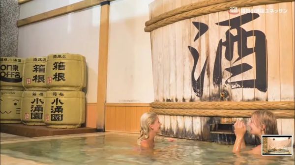 东京出发1.5h!箱根必打卡的百年汤泉,含2餐!日本箱根小涌园三河屋旅馆 别馆日式双床房(公共浴池)1晚(含双早+双人日式晚餐)