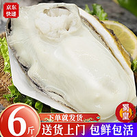 蜀皇 乳山生蚝鲜活即食特大牡蛎现捕海蛎子带壳生蚝肉贝类海鲜水产 新鲜捕捞 当天发货 6斤XXXXL号整箱【8-14个左右】