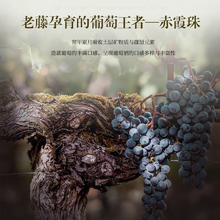 Ardeche无醇葡萄酒 高端婚宴节日送礼无酒精真脱醇红酒应酬挡酒0度零度 QBA赤霞珠无醇整箱