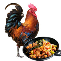 庆方堂 散养青脚土公鸡1.2kg 放养168天整鸡鸡肉生鲜