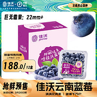 JOYVIO 佳沃 蓝莓 超大果 单果果径18mm 125g*12盒 礼盒装